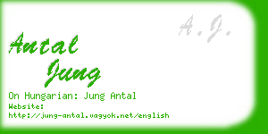 antal jung business card